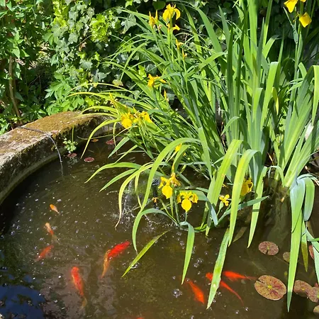 Le Pavillon Bellevue Prázdninový dům