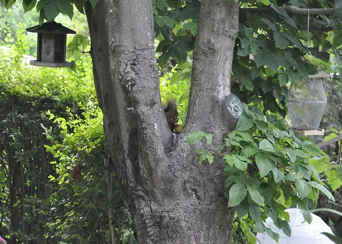 Le Pavillon Bellevue Feriehus