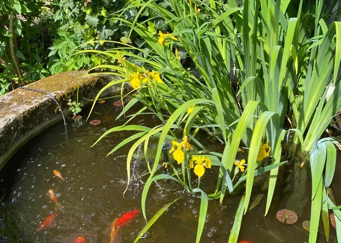 Le Pavillon Bellevue Feriehus